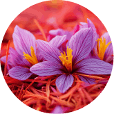 SAFFRON EXTRACT